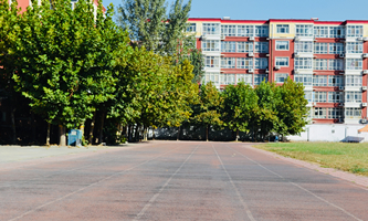 ʯfF(xin)ƼеȌI(y)W(xu)У