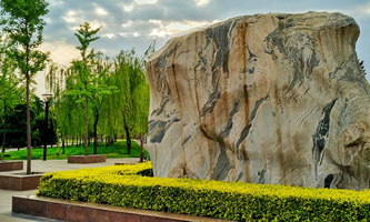 L(zhng)W(xu)dAW(xu)Ժ