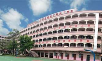 V|ʡ(chung)I(y)Q(mo)W(xu)У