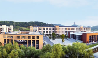 BdI(y)g(sh)W(xu)Ժ