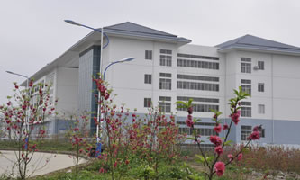 V׃ߵȌ(zhun)ƌW(xu)У