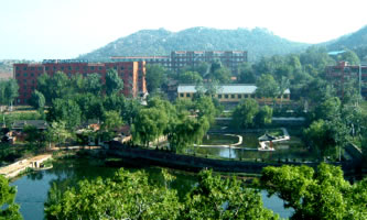 h|I(y)g(sh)W(xu)Ժ