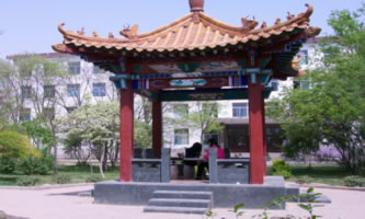 ɽ֘I(y)I(y)g(sh)W(xu)Ժ