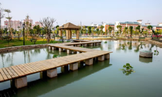 Ȫt(y)W(xu)ߵȌƌW(xu)У