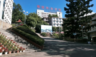 ֘I(y)I(y)g(sh)W(xu)Ժ