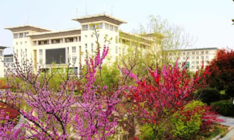 t(y)ˎߵȌƌW(xu)У