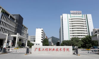 V|I(y)g(sh)W(xu)Ժ