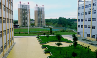 ĴʡnϪhI(y)߼ЌW(xu)