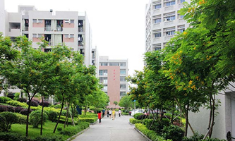 |ݸжI(y)g(sh)W(xu)У