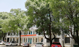 ꖿ_(d)I(y)g(sh)W(xu)У