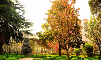 l(xing)йI(y)W(xu)У