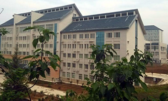 T{кI^(q)еI(y)WУT{н̎MތWУ