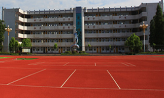 (yng)еȌ(zhun)I(y)g(sh)W(xu)У(yng)Ќ(sh)(yn)߼(j)ЌW(xu)