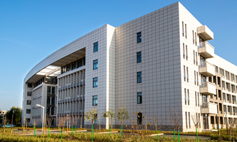 ����ؔ����W