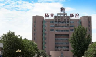 �����I(y��)���g(sh��)�W(xu��)Ժ