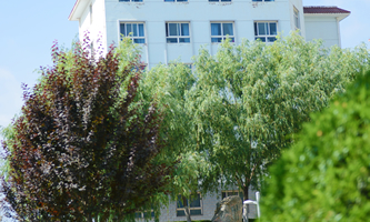 �m���YԴ�h(hu��n)���I(y��)���g(sh��)��W(xu��)