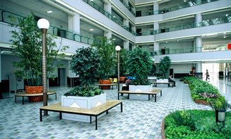 II(y)W(xu)2022ˮƽ\(yn)(dng)(du)@(xing)Ŀ(jin)