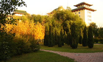 �����I�t(y��)�ƴ�W