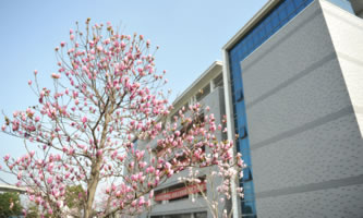 �o�a�����W(xu��)Ժ