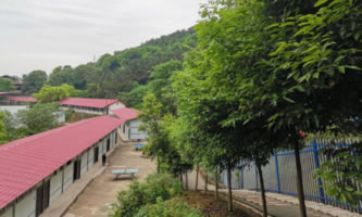 eд^(q)|I(y)g(sh)W(xu)У