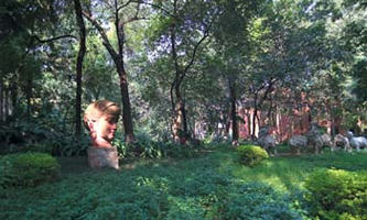 �V�����g(sh��)�W(xu��)Ժ