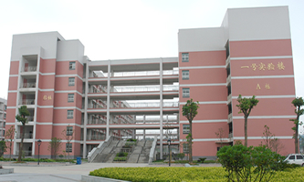 �������t(y��)ˎ��W(xu��)