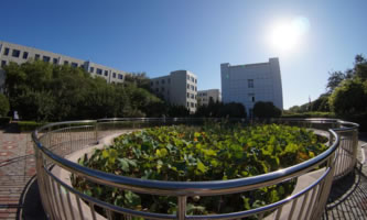 ɽ�|�����I(y��)�W(xu��)Ժ