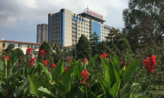 ɽ���֘I(y��)�I(y��)���g(sh��)�WԺ