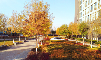 ɽ̿ƼI(y)W(xu)ǸɸԺУ(xing)O(sh)λɽI(y)g(sh)W(xu)Ժ