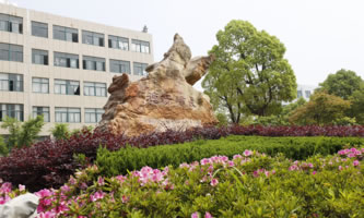 �����I(y��)���g(sh��)�W(xu��)Ժ