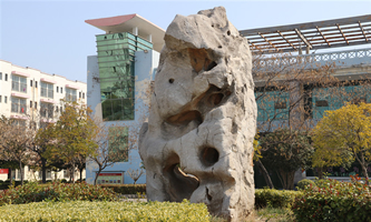 �����I(y��)�W(xu��)Ժ