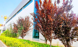 ɽ�|����I(y��)���g(sh��)�W(xu��)Ժ