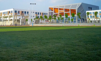 �����е����I(y��)���g(sh��)�W(xu��)У