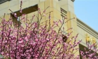 �Ĵ������еȌ��I(y��)�W(xu��)У