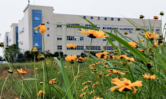 �����A�й��I(y��)�����W(xu��)У