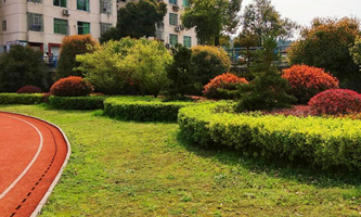 ƽ���h�I(y��)���g(sh��)�WУ