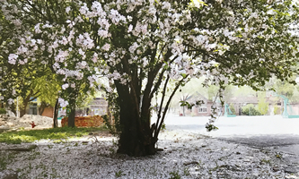 ����t(y��)�W(xu��)�ߵȌ��ƌW(xu��)У