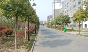 �S�����̹���WУ