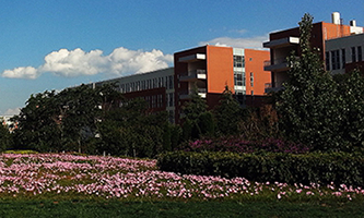 �����t(y��)�ƴ�W