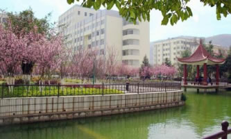 ���ϿƼ���Ϣ�I(y��)�W(xu��)Ժ