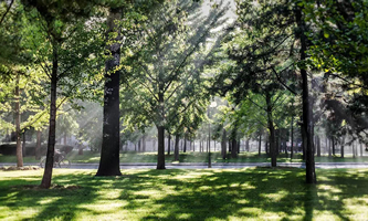 �й������hУ����(gu��)�������W(xu��)Ժ��