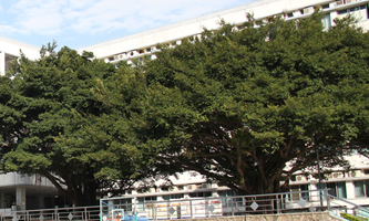 �����߿����Ž������F���Ŷ���