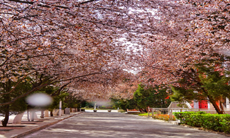 ��ˮ�����WԺ