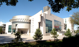 ʯ���Ӵ�W(xu��)