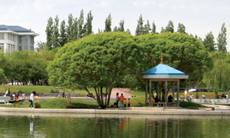 �½�ؔ��(j��ng)��W(xu��)