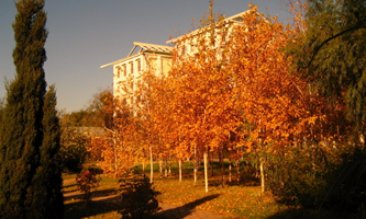 �����I�t(y��)�ƴ�W