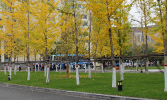 ɽ���t(y��)�ƴ�W