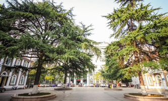 ��h����(l��)�W(xu��)Ժ