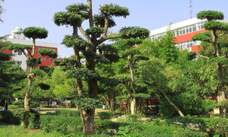 ������W(xu��)Ժ