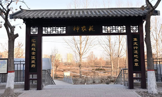 �ӱ����t(y��)ˎ��W(xu��)